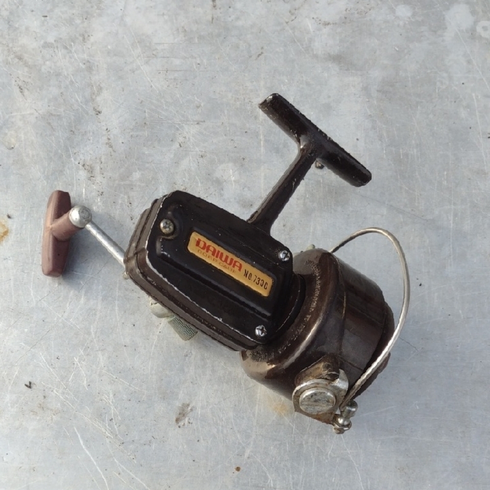 Daiwa Fishing Reel in Black and Brown